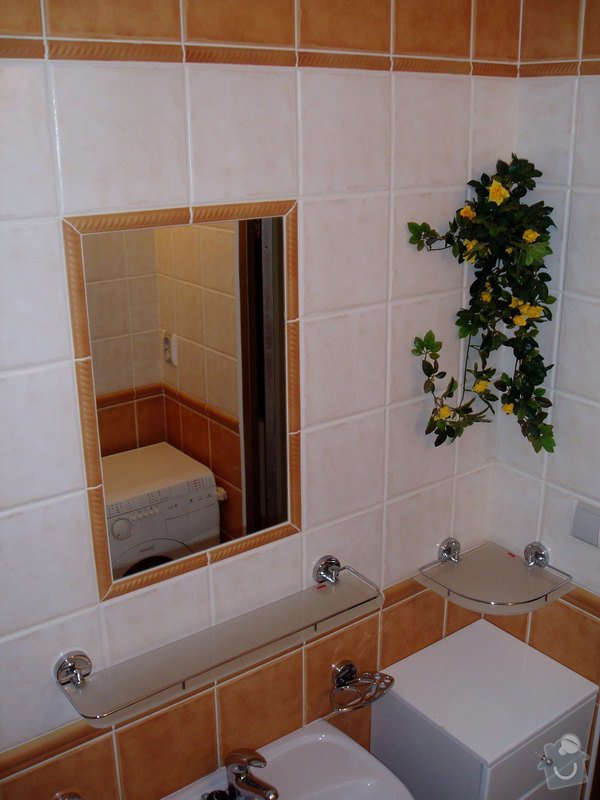 Koupelna panelákový byt.: P2270044