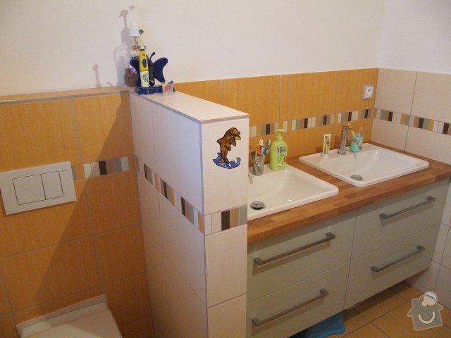 Koupelny: IMG_3102