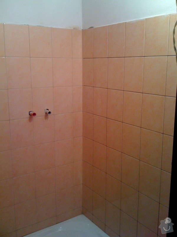 Rekonstrukce koupelny a wc v rodiném domě: IMG_1419
