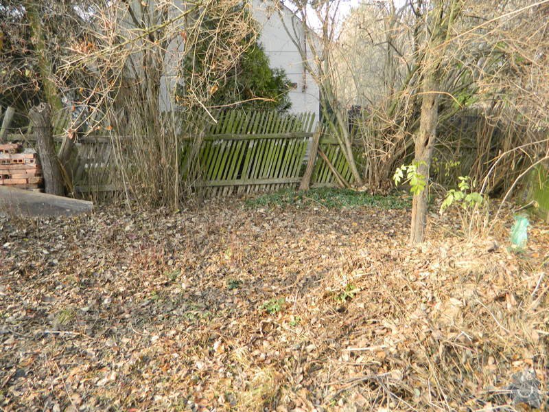 Dřevený chalupářský plot : DSCN1129