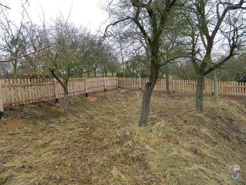 Dřevený chalupářský plot : DSCN1206