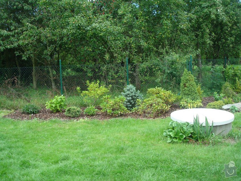 Zahradnicke sluzby- komplet podzimni udrzba : DSC08214