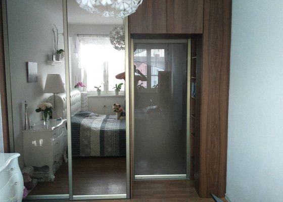 Renovace vestavěné skříně Woodface - změna barvy