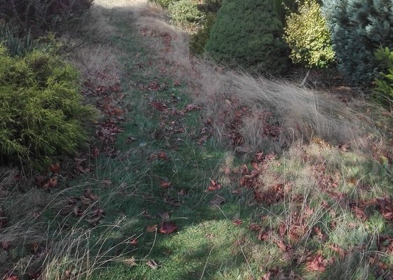 Dobrý den, potřebuji posekat zahradu o velikosti 1600 m2. Zahrada nebyla 1,5 roku sekaná, kvalita trávníku tomu odpovídá.