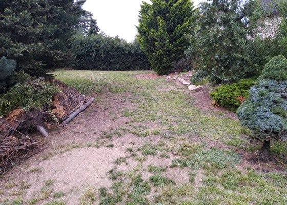 Založení nového trávníku a ostříhání živého plotu