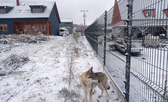 Realizace plotu odolného vůči psům