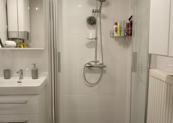 Rekonstrukce koupelny s WC  2X2 m