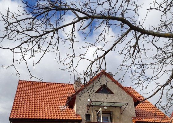 Rekonstrukce sedlove strechy - palene tasky