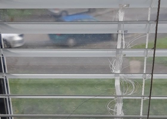 Kompletní výměna žaluzií ve 3 plastových oknech