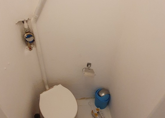 Vymalovani koupelny, odstraneni plisne, vymena WC