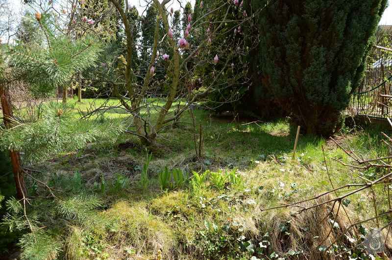 Revitalizace jezírka, skalky a záhonů v horní části zahrady: puvodni_stav_zahonu_nad_skalkou_1