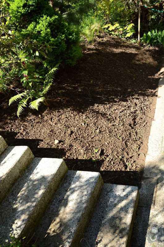Revitalizace jezírka, skalky a záhonů v horní části zahrady: priprava_skalky