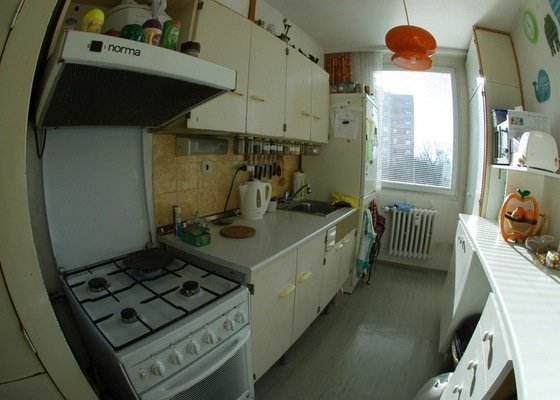 Rekonstrukce kuchyně a chodby (panelový dům, 2005)