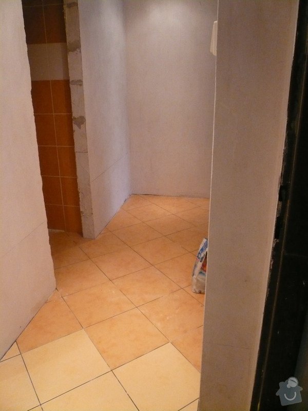 Rekonstrukce koupelny: P1090763