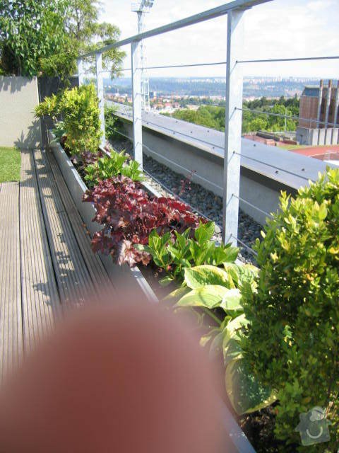 Revitalizace a následná pravidelná péče o střešní zahradu. : IMG_8548