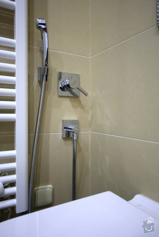 Koupelna s atypickým sprchovým koutem: 10