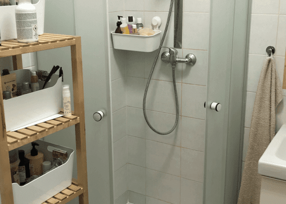 Výměna sprchového koutu + případná výměna WC