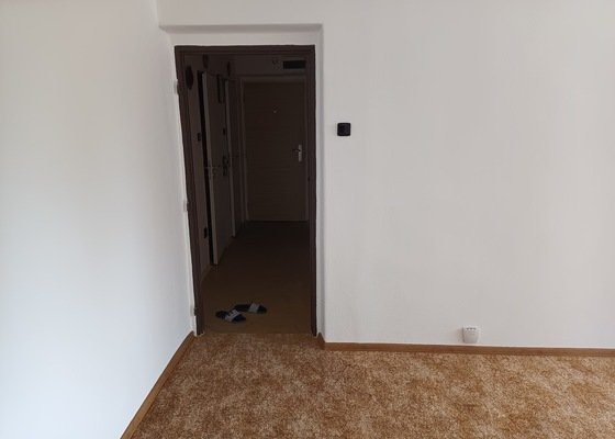 Vymalování obývacího pokoje, 1 místnost, 22.44 m²