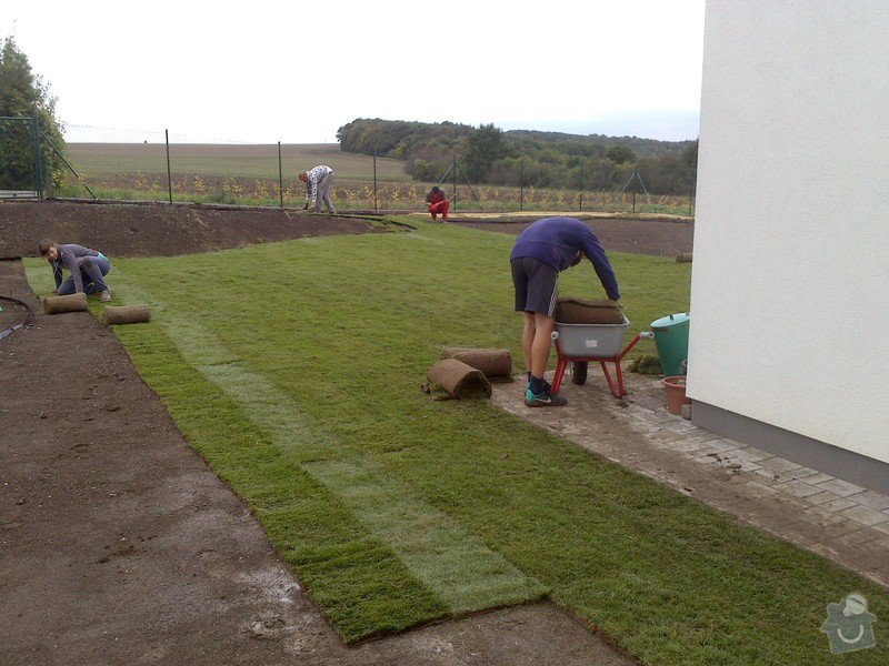 Založení trávníku 320m2 (výsev nebo pokládka koberce): 2013-09-12_07.25.22