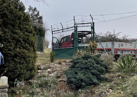 Prořez stromů a pokácení jabloně