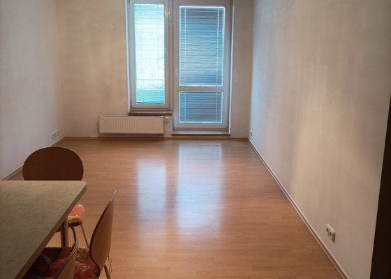 Vymalování bytu, 2 místnosti, 55 m²