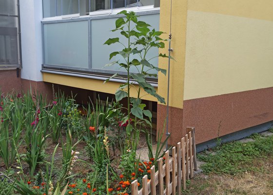 Zasadit mříže na balkon po zasklení balkonu.