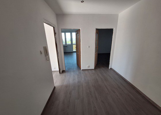 Rekonstrukce panelového bytu 2+1 60m2