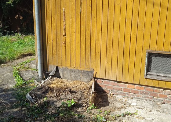 Vyklizení zahrady a garáže v Petřvaldě u Karviné
