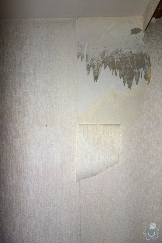 Interiér paneláku:loupání tapet+štuk+malování: DSC02607