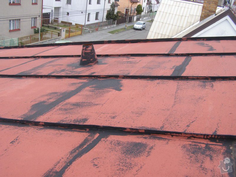 Natření střechy rodinného domu: P2052010