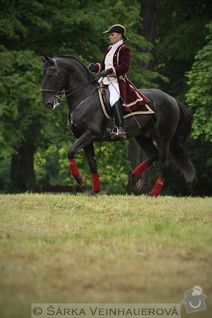 Fotografování koní: baroko-200