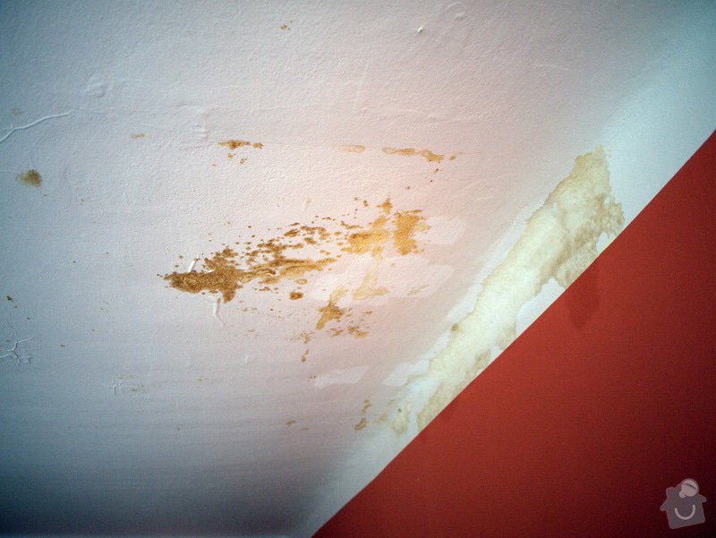 Oprava stropní omítky v činžovním domě a následné vymalování celého stropu: 2-P1040982