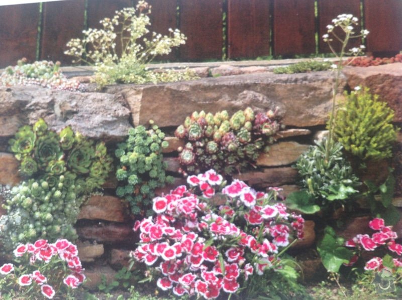 Sucha zidka na zahradu: image