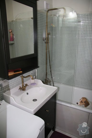 Rekonstrukce koupelny, záchoda: IMG_0383