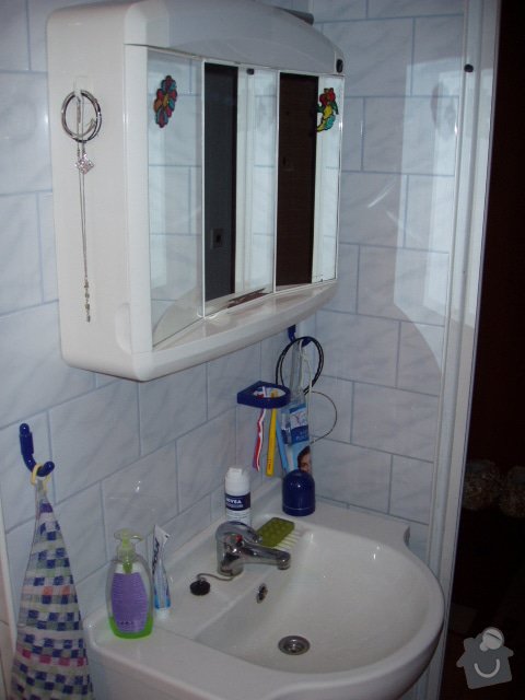 Rekonstrukce koupelny: P1010014
