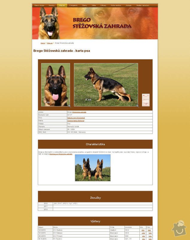 Vytvoření internetových stránek pro majitelku chovného psa: 3