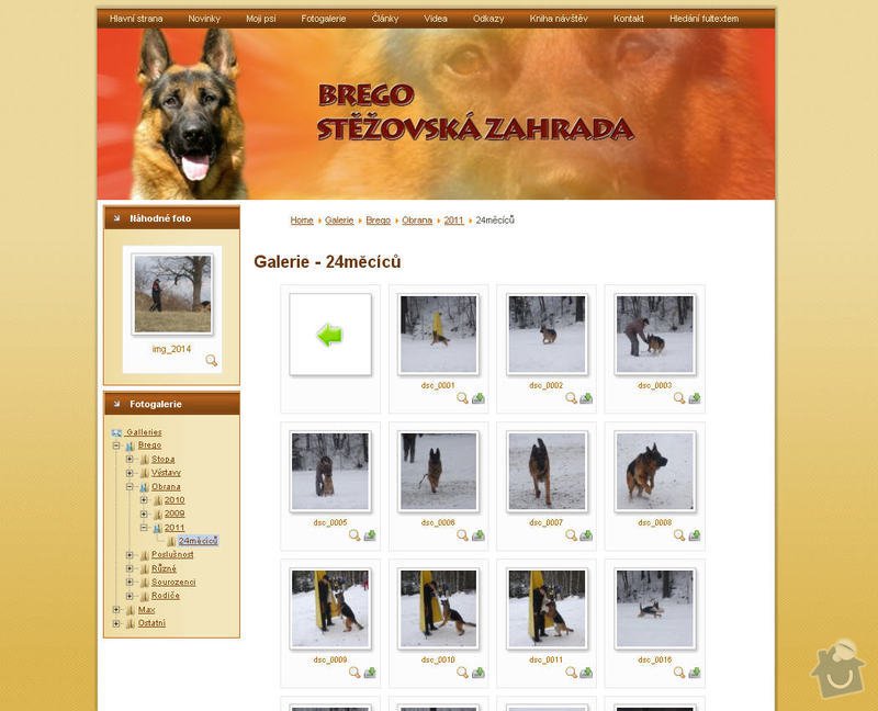 Vytvoření internetových stránek pro majitelku chovného psa: 4