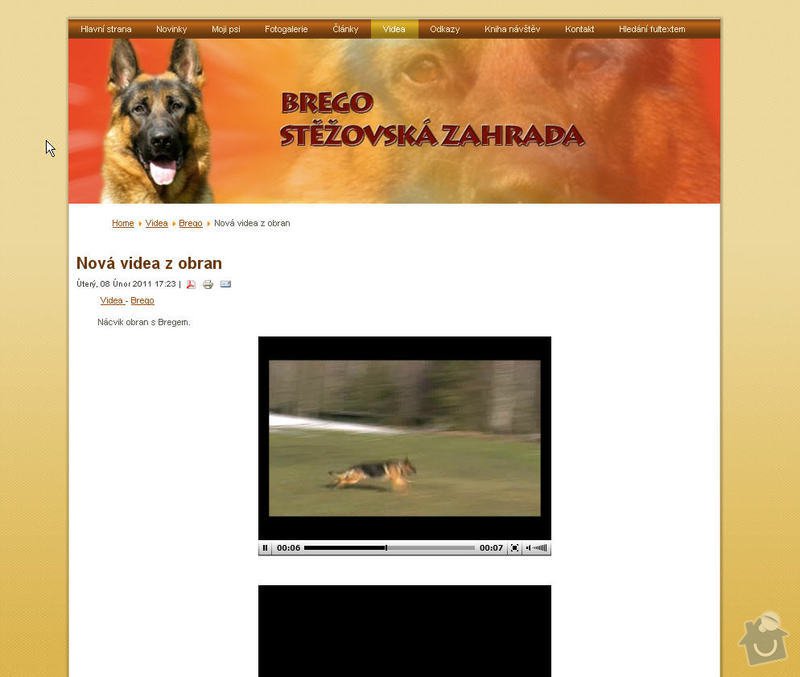 Vytvoření internetových stránek pro majitelku chovného psa: 6
