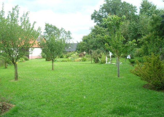 Zahradnicke prace -uprava vesnicke zahrady  - stav před realizací