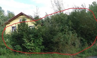 Vyřezání a likvidace náletů - Tymákov u Plzně - stav před realizací