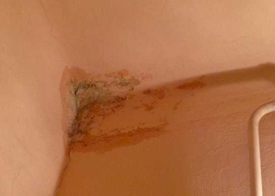 Oprava a malba opadaného stropu v koupelně a předsíni