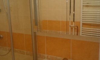 Rekonstrukce koupelny Brno