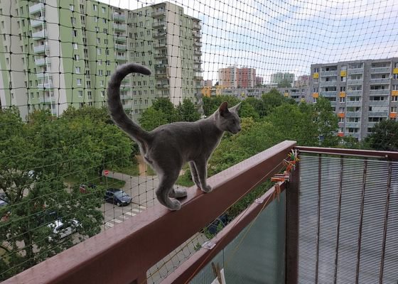 Síť pro kočku na balkón