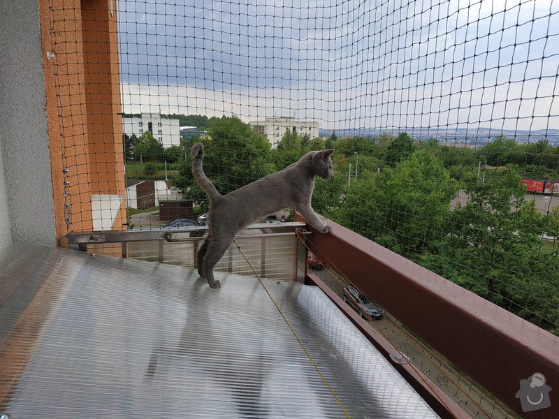 síť na balkón pro kočky