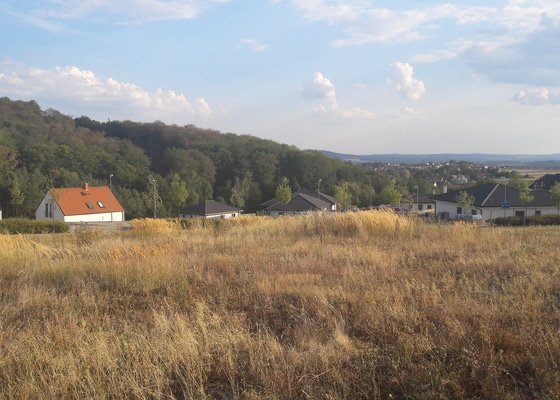 Posekání vysoké trávy a plevele - pozemek Nová Ves pod Pleší 1050m2 - stav před realizací