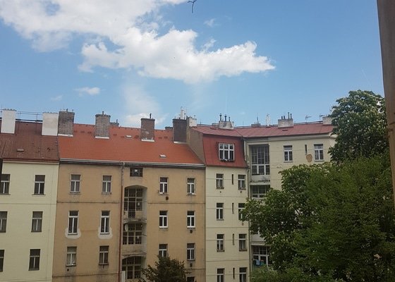 Ochrana proti holubům na římse a balkonu