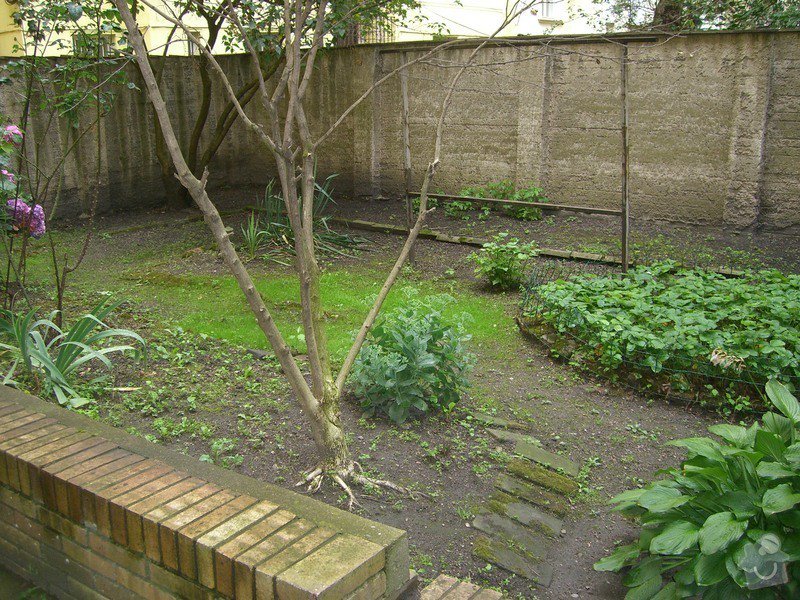 Revitalizace zahrady.: CIMG0047