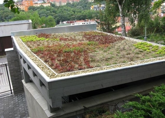 Zelená vegetační střecha