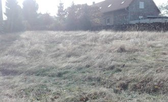 Dobrý den, potřebuji posekat zahradu o velikosti 1600 m2. Zahrada nebyla 1,5 roku sekaná, kvalita trávníku tomu odpovídá. - stav před realizací