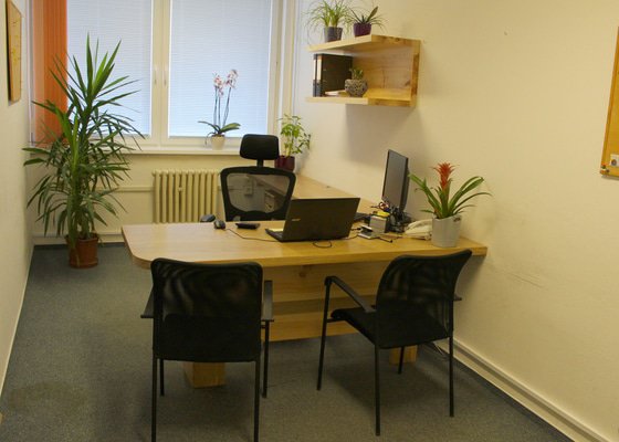 Kancelář- dub a borovice
